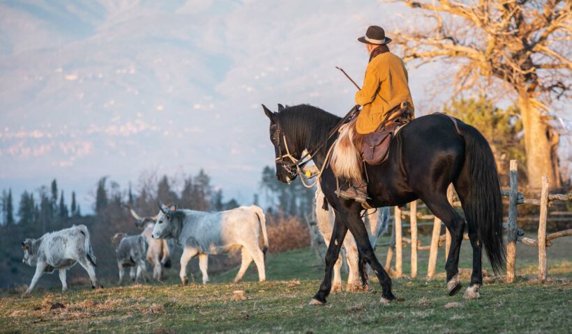 ELESTA Horse Tourism - Italia a cavallo - Maremma