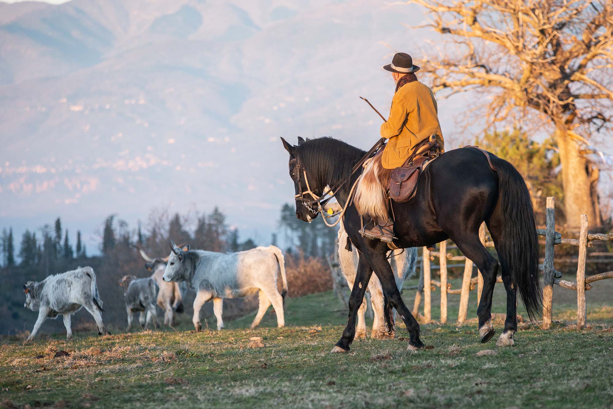 ELESTA Horse Tourism - Italia a cavallo - Maremma