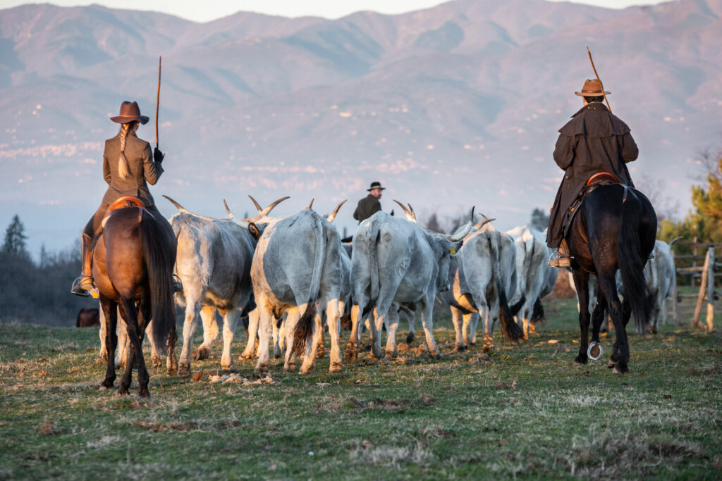 ELESTA Horse Tourism - Italia a cavallo - Maremma