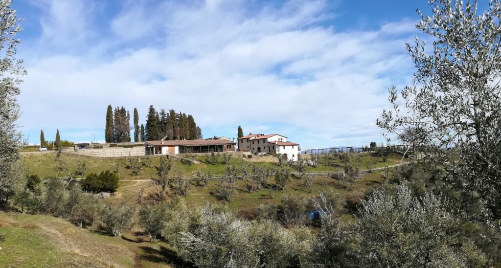 ELESTA Horse Tourism - Maremma